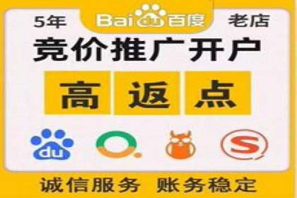百度推广实战案例：成功之路
